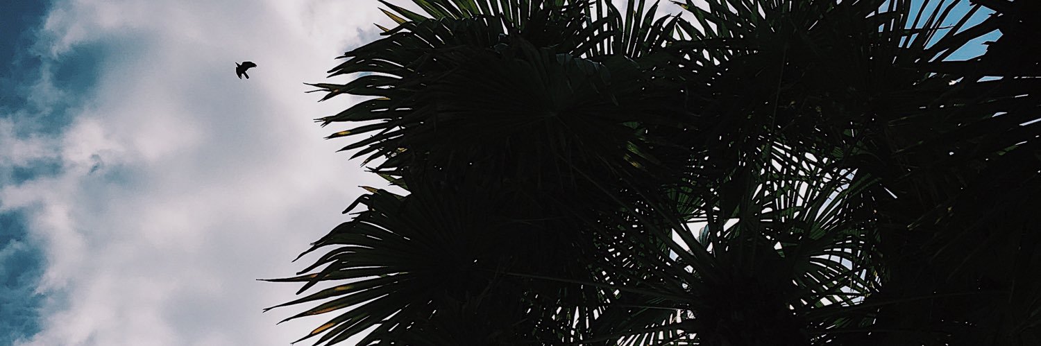 justine_chkff's profile banner image