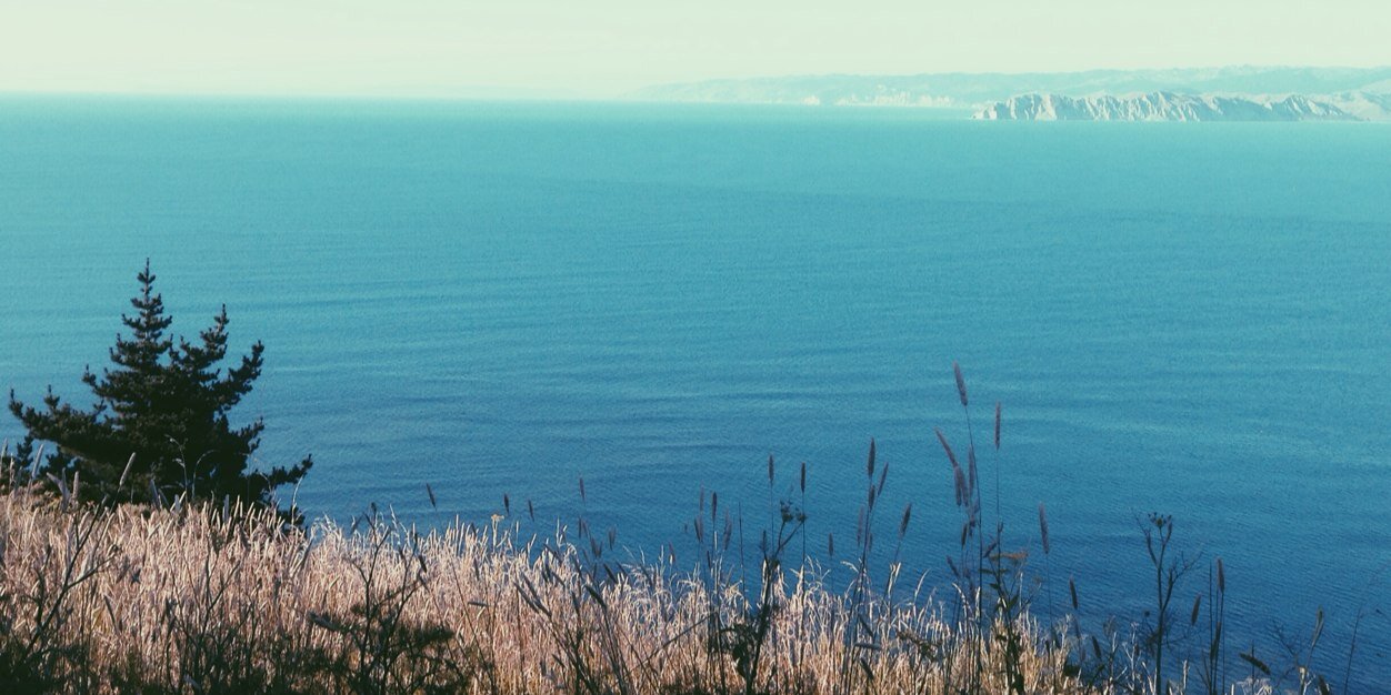 beetersweet's profile banner image