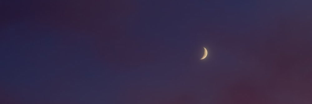 aarionna_redd's profile banner image