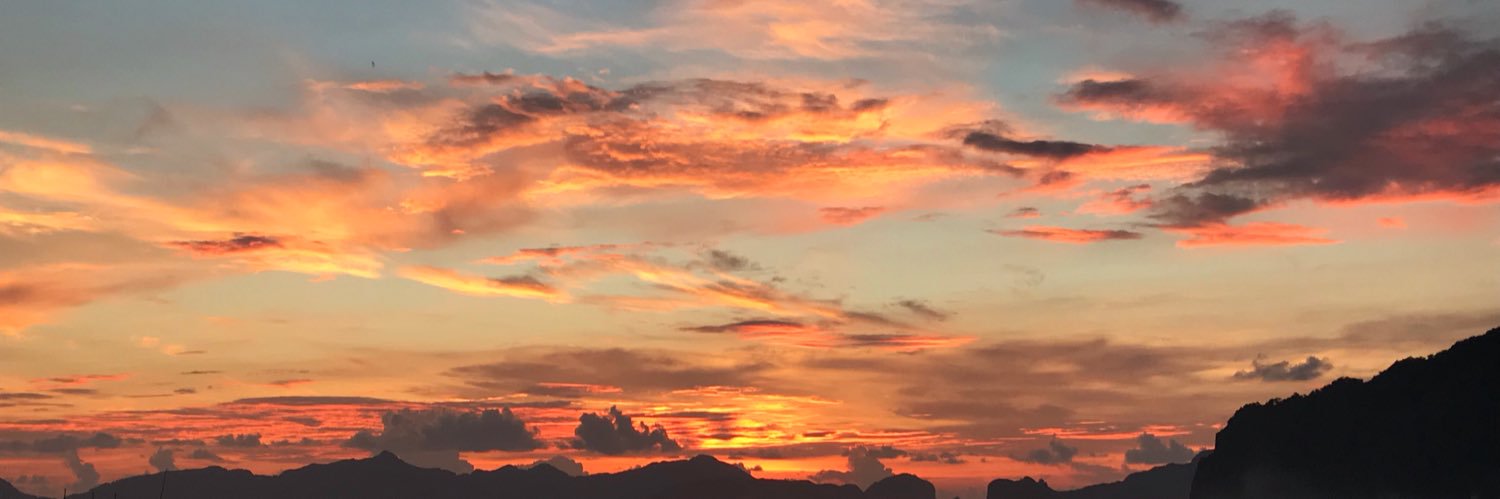 beetsnotbombs's profile banner image