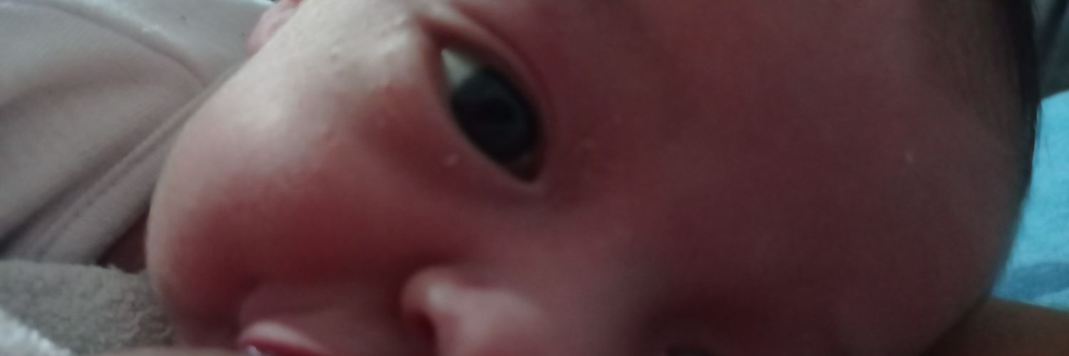 Celeolmoos1's profile banner image
