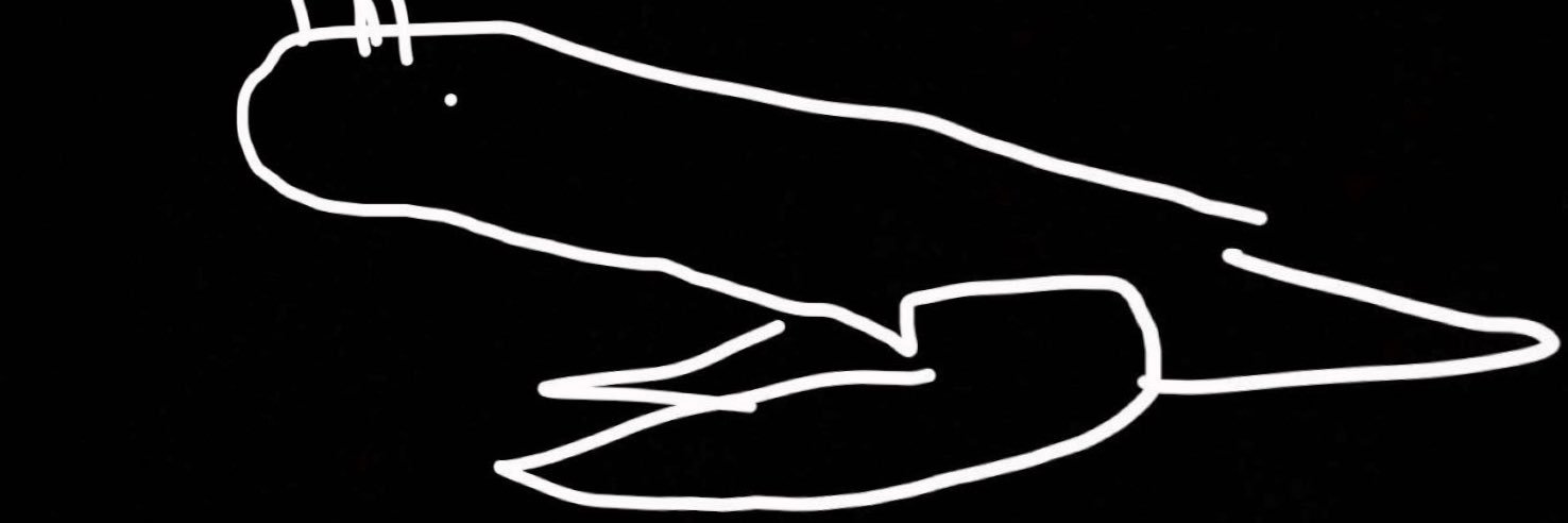 AlecIzDank's profile banner image