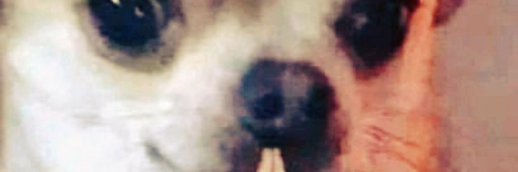 Ninespike98's profile banner image
