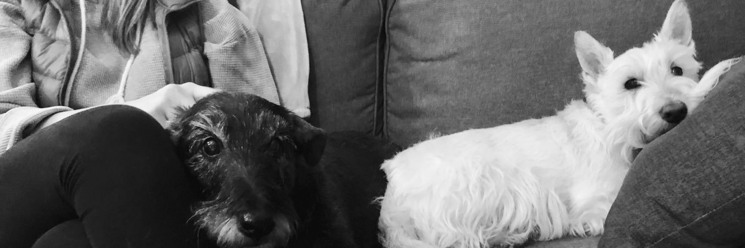 katieanthony42's profile banner image