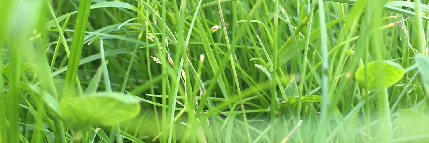 AWidmark's profile banner image