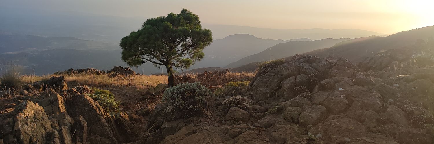 serginhoCP's profile banner image