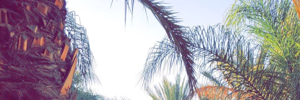 Talon Peffley banner