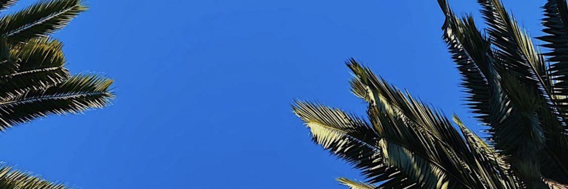 SheS0Unique's profile banner image
