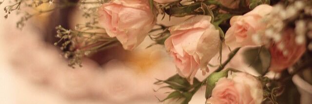 Taif33's profile banner image