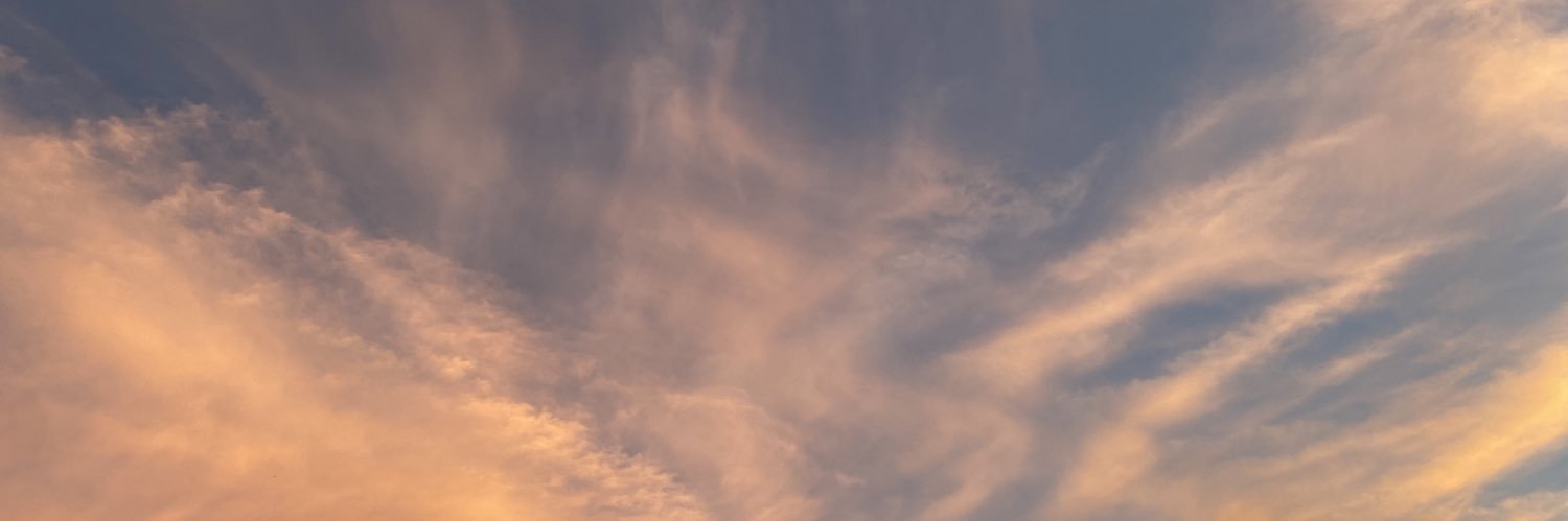 jadeamariwilson's profile banner image