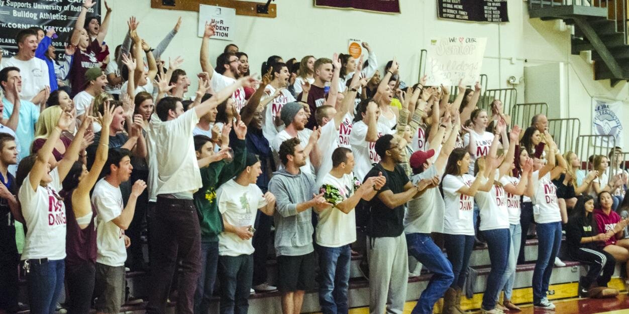 Bulldog Athletics banner