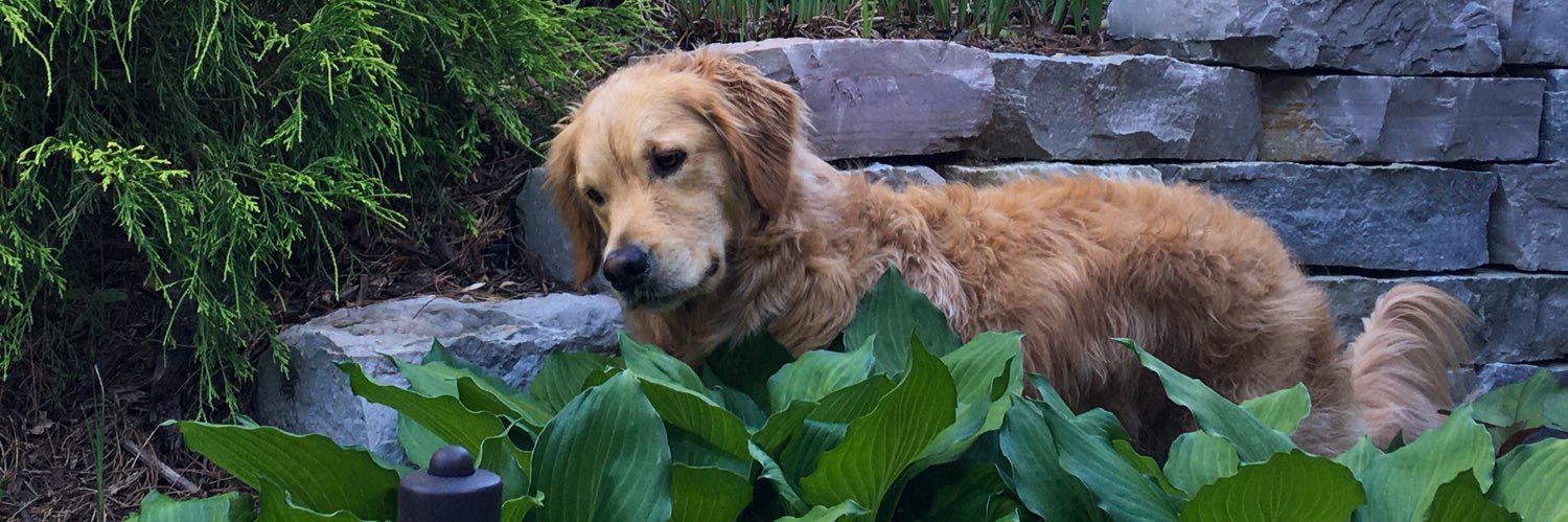 Kohlsy10's profile banner image