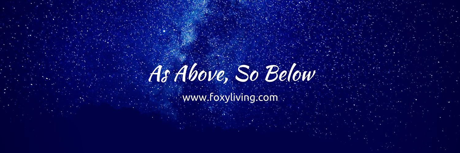 lifeisfoxy's profile banner image