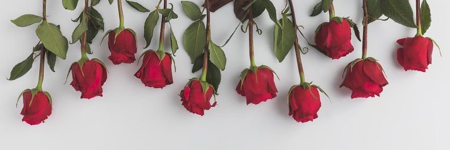 ؏بق banner
