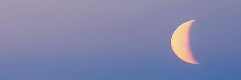 Senpai banner
