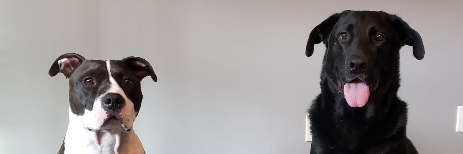 its_kacee's profile banner image