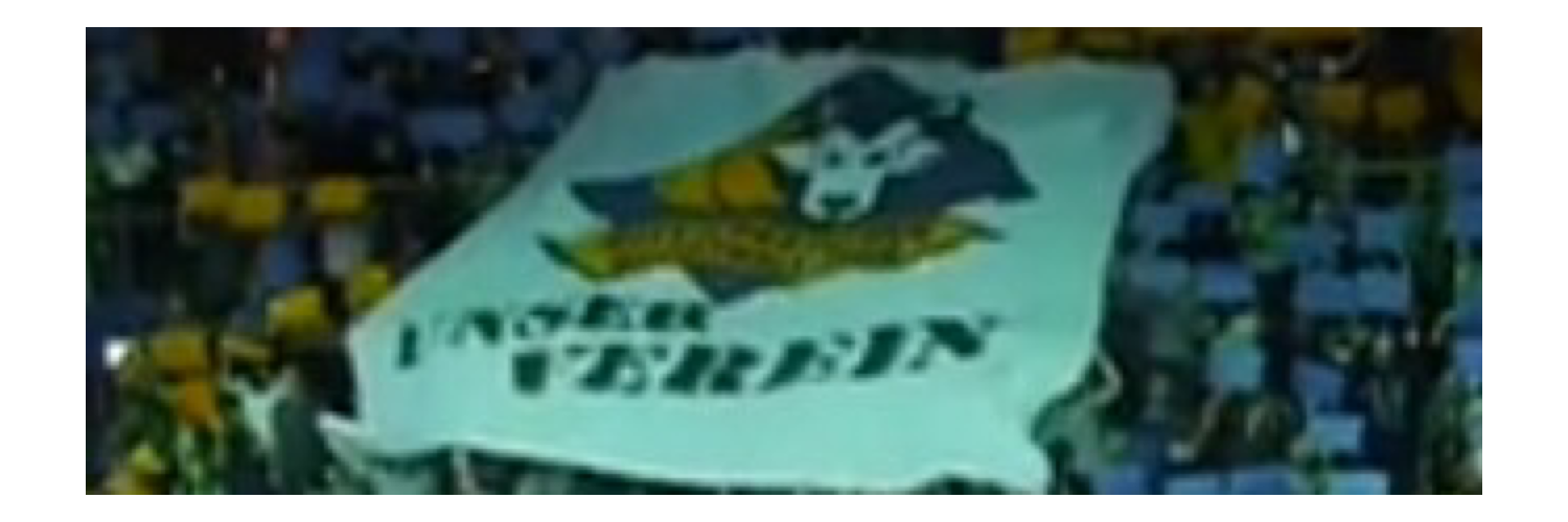 _Nettchen_'s profile banner image