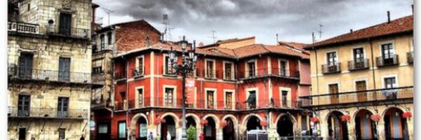 provincialeon Profile Banner