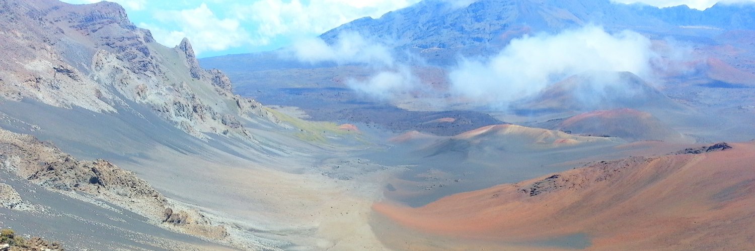 Dr. Michelle Failla, PhD banner