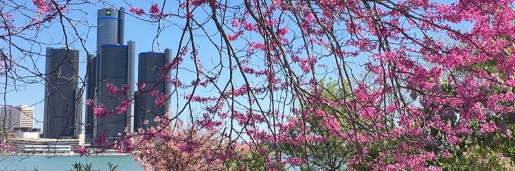 jaylynnstone's profile banner image