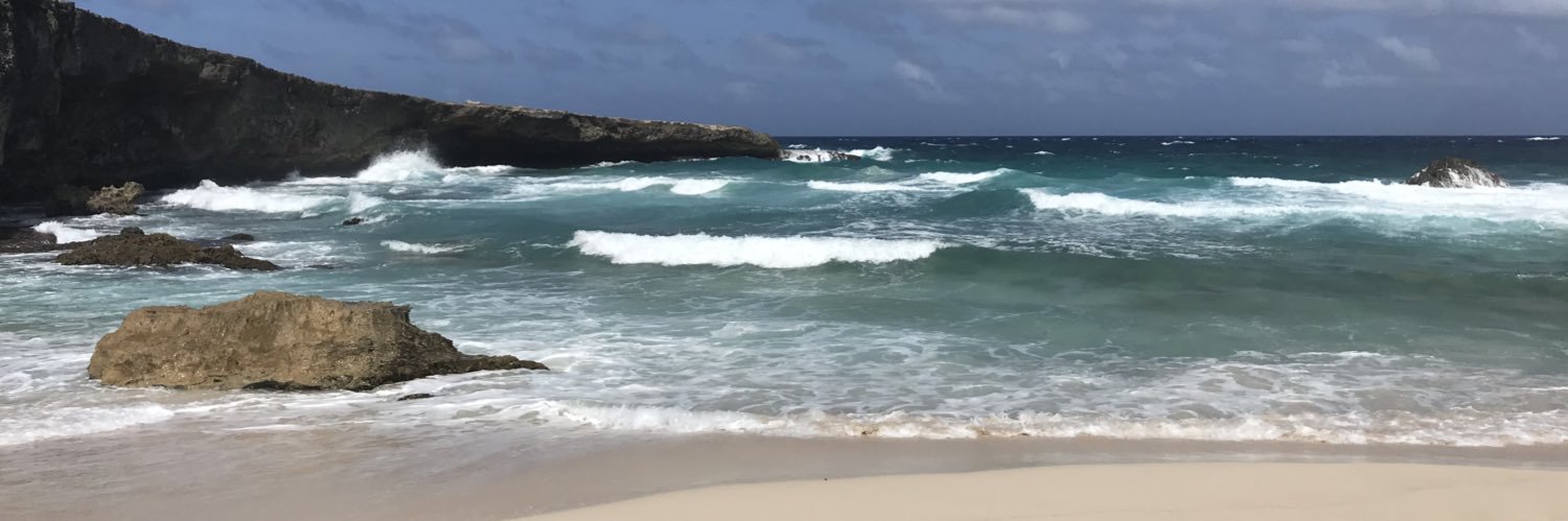 Vasant Ramamurthy banner