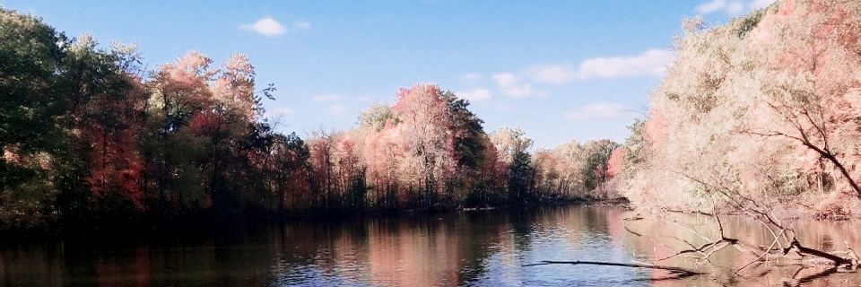 Austin Tanner banner