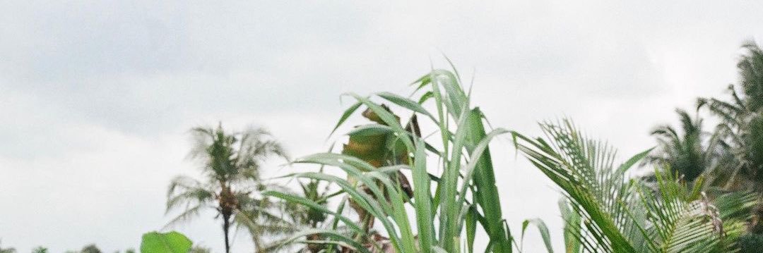 Danielzedd's profile banner image
