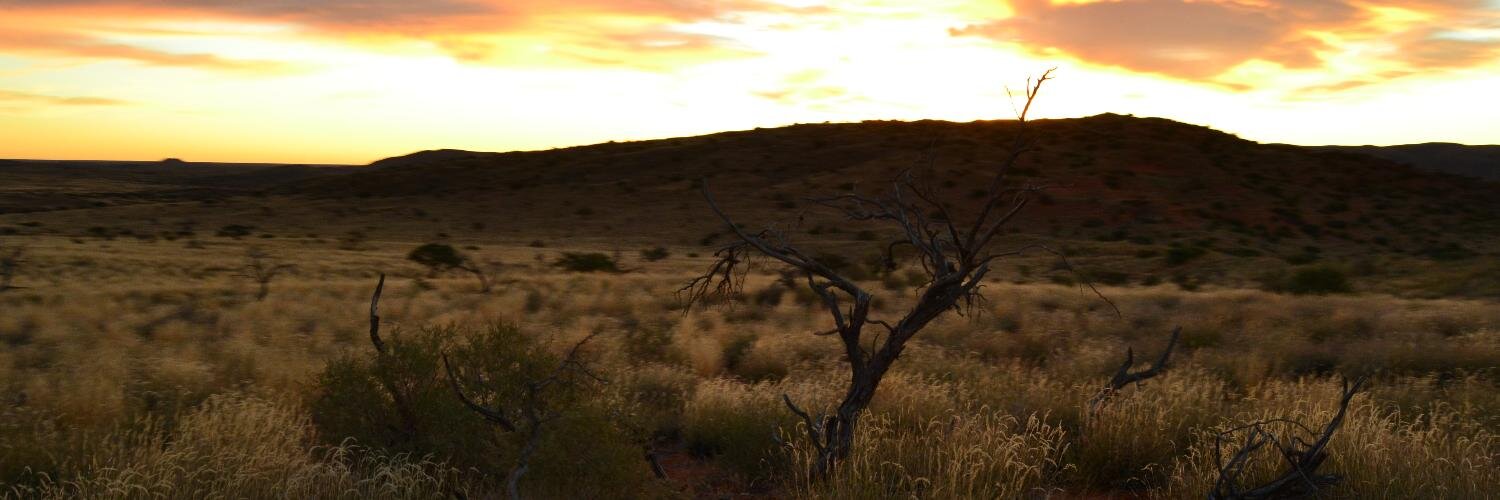 BarryHeyns's profile banner image