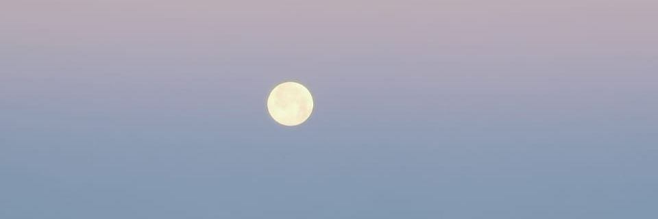almodlal's profile banner image