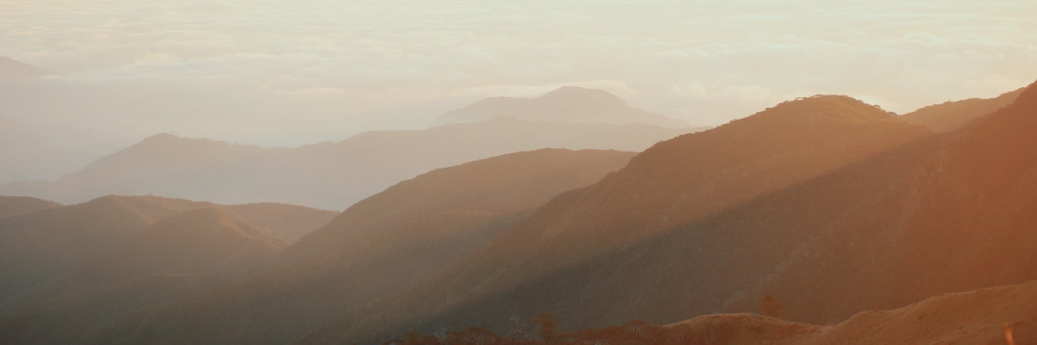 danicar_p's profile banner image