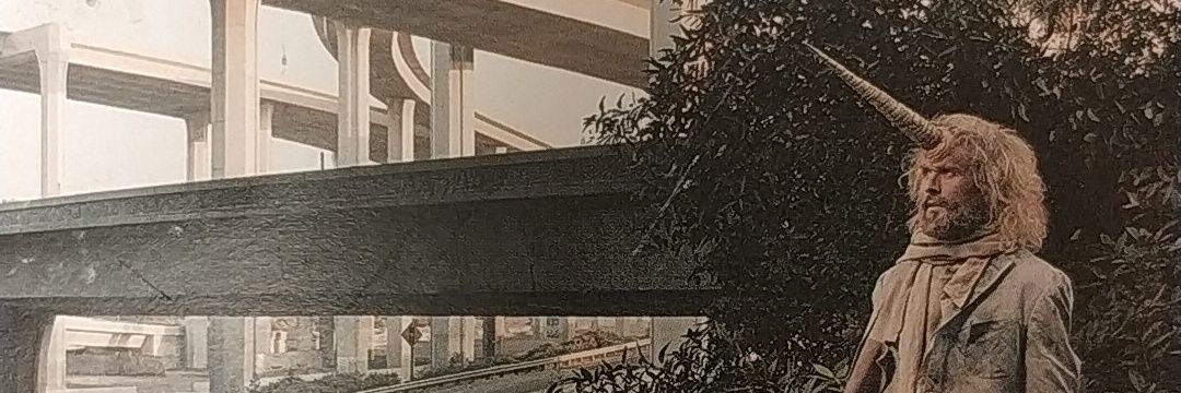 Elilehmann's profile banner image