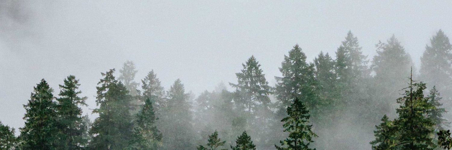 declawnb's profile banner image