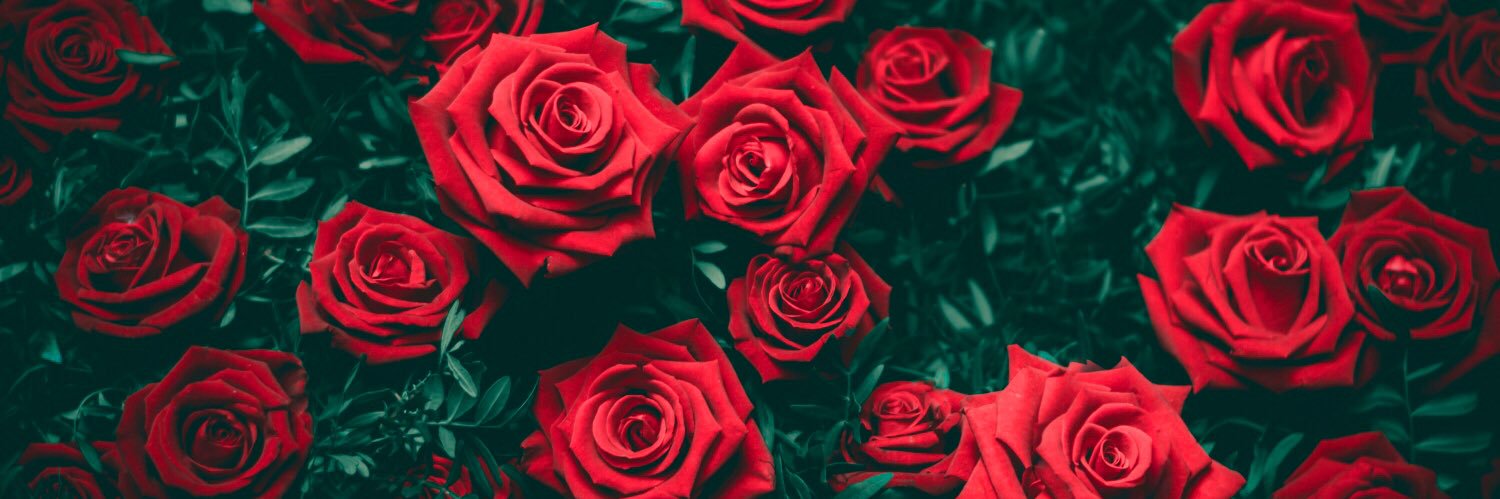 brianna🌬 banner