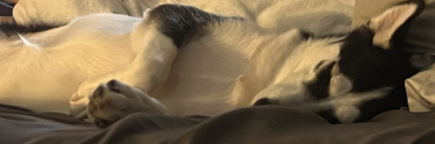 TGilly69's profile banner image