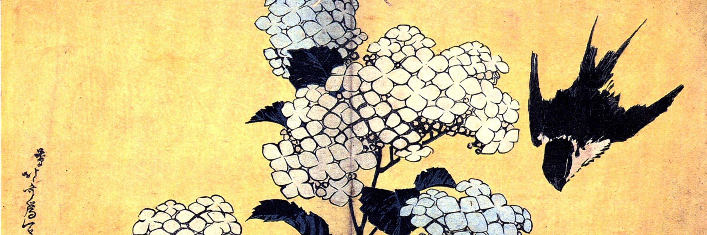 pinguletta's profile banner image