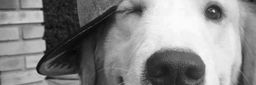 ThasAndrade12's profile banner image