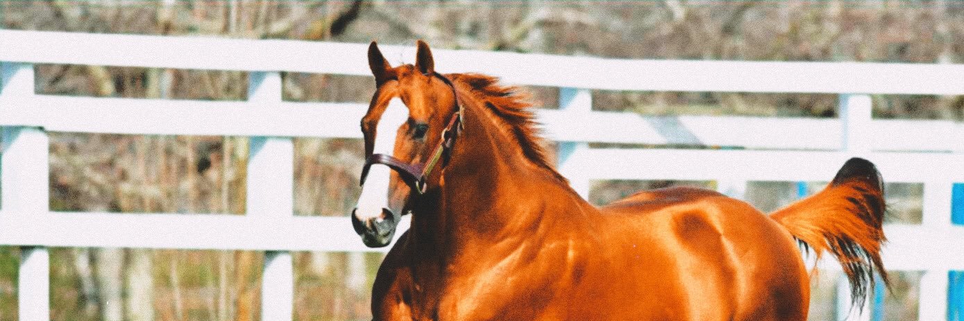 Jeff Chandler banner