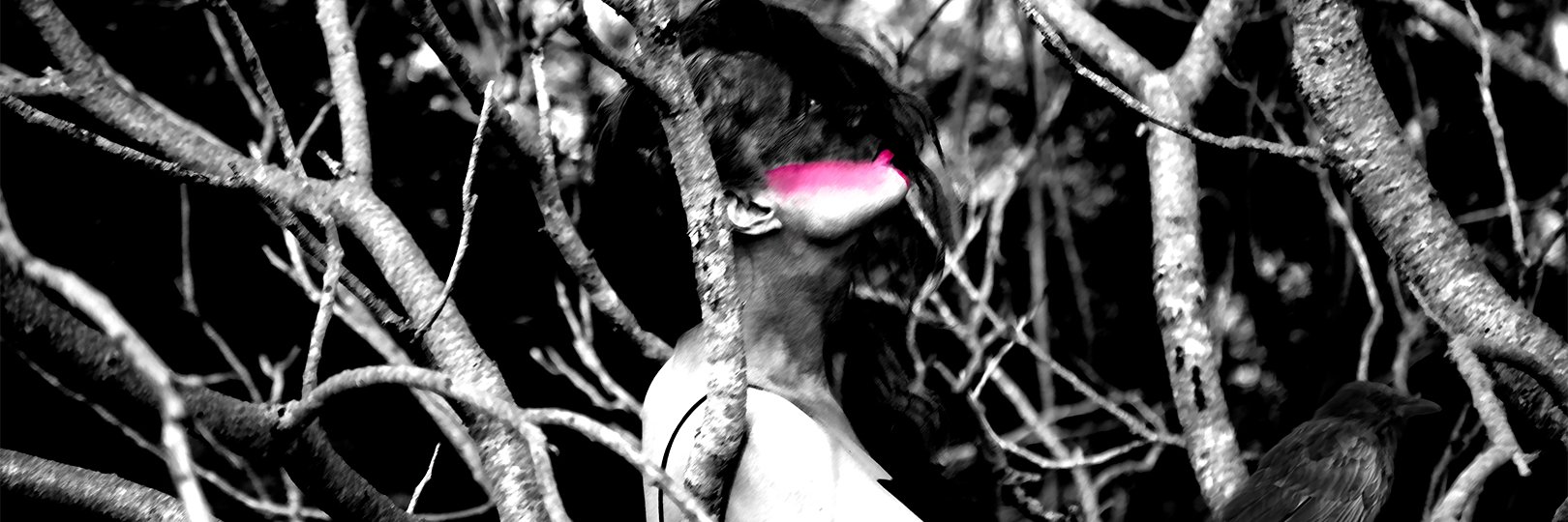 chronicallygrey's profile banner image