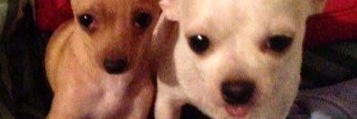 nancgom14's profile banner image