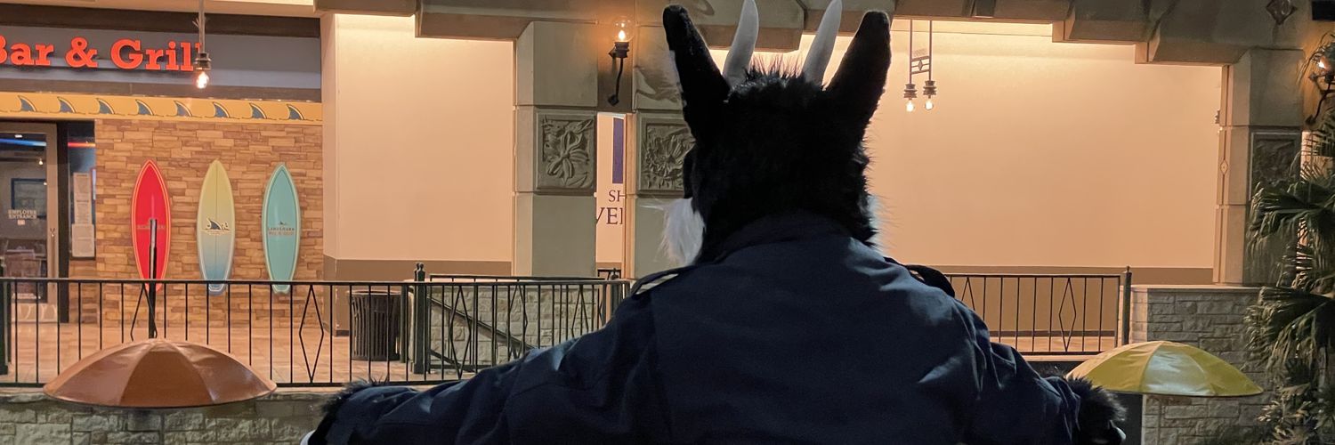 ShadowIsFurred's profile banner image