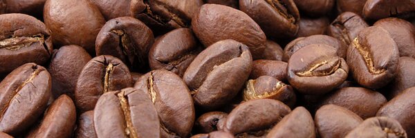 micmord Profile Banner