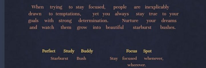 SoniaDwi__'s profile banner image