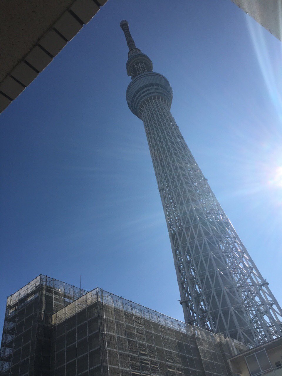 ちゃか🇯🇵 banner