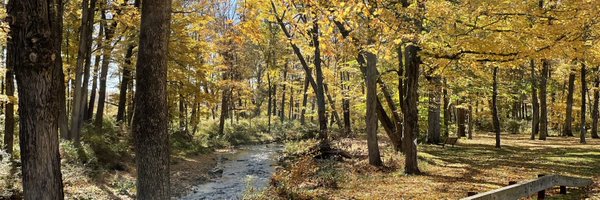 loganleblond6 Profile Banner