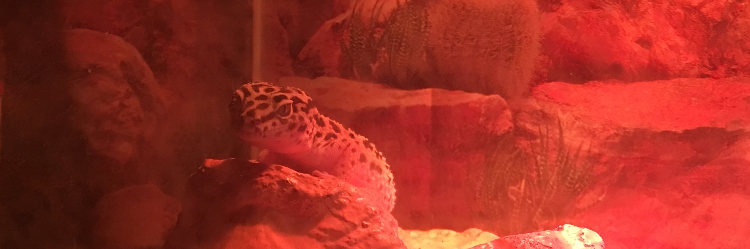 traytawn's profile banner image
