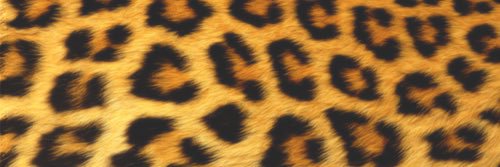 Jack_allgdr's profile banner image