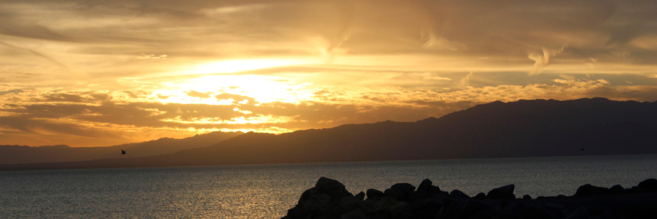 phillip_oriley's profile banner image