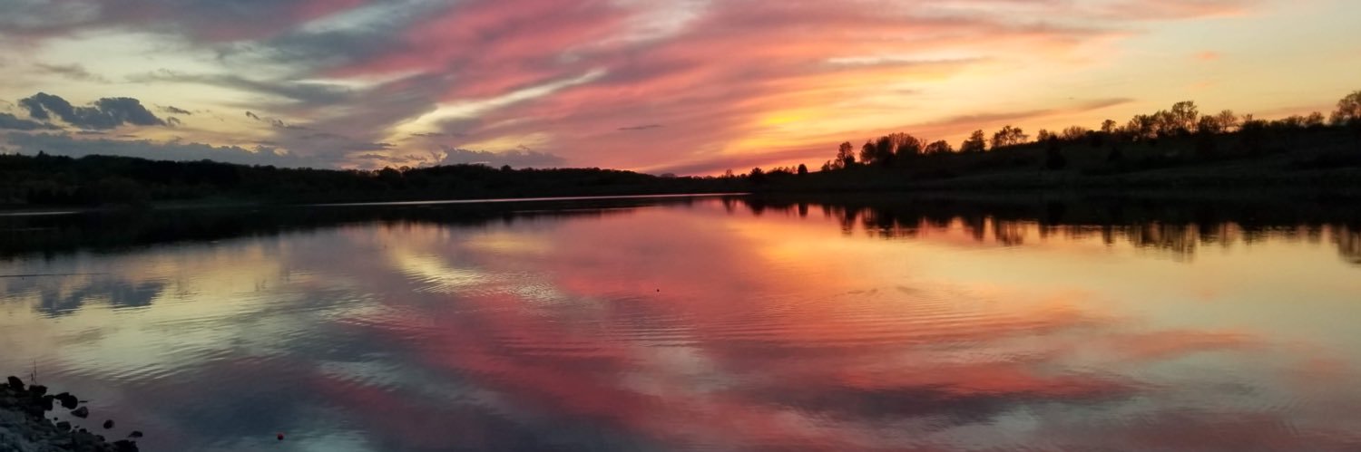 Wendy Nielsen banner