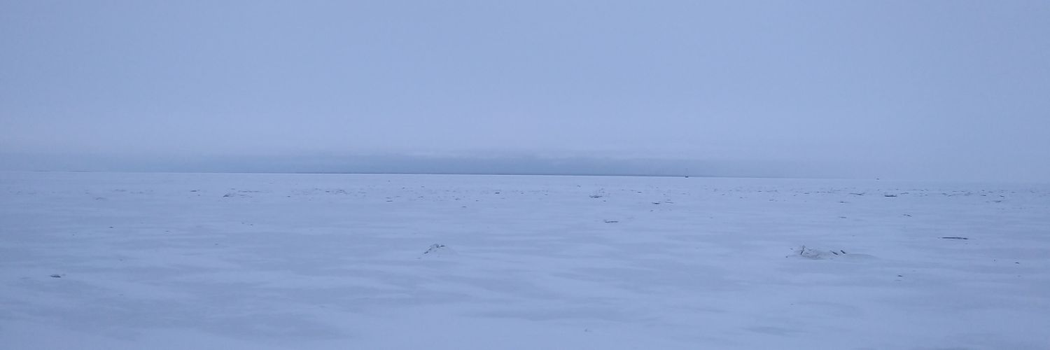 thatboringnerd's profile banner image