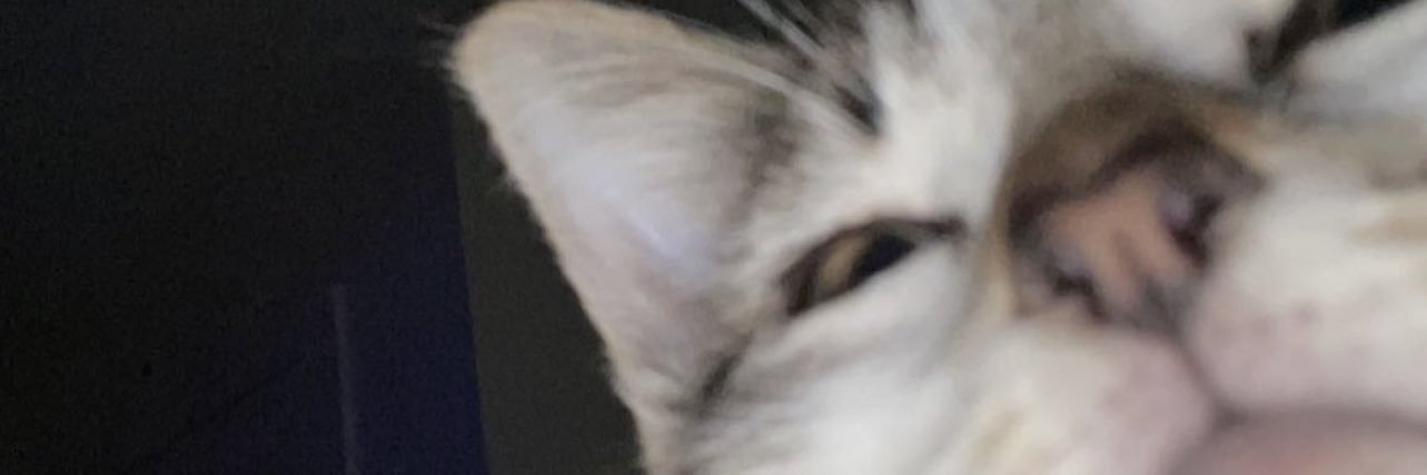 forgetthisworry's profile banner image